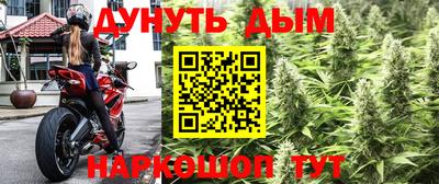 герыч Можга
