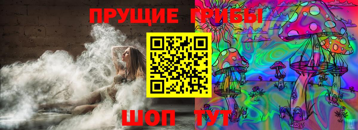 Галлюциногенные грибы GOLDEN TEACHER Горно-Алтайск