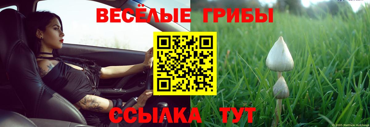 Псилоцибиновые грибы Magic Shrooms  закладки  Горно-Алтайск  Вход с VPN 